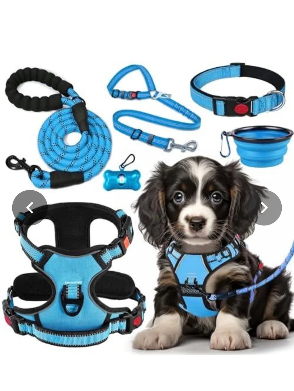 Complete Blue Dog Travel Set with Harness, Leash, Collar, Bowl, and Waste Bag